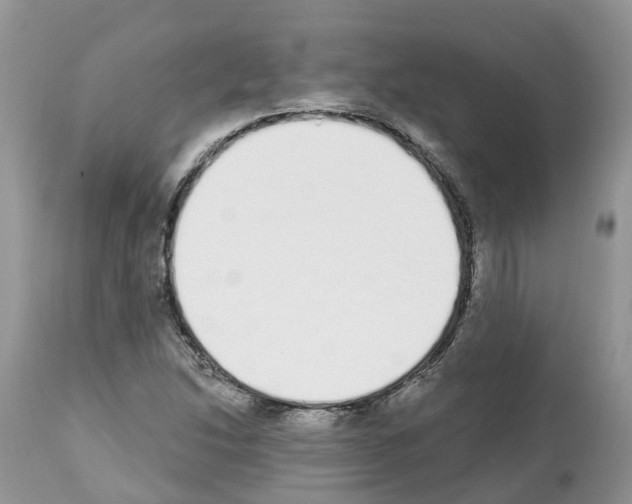 X0000112501214200909281149