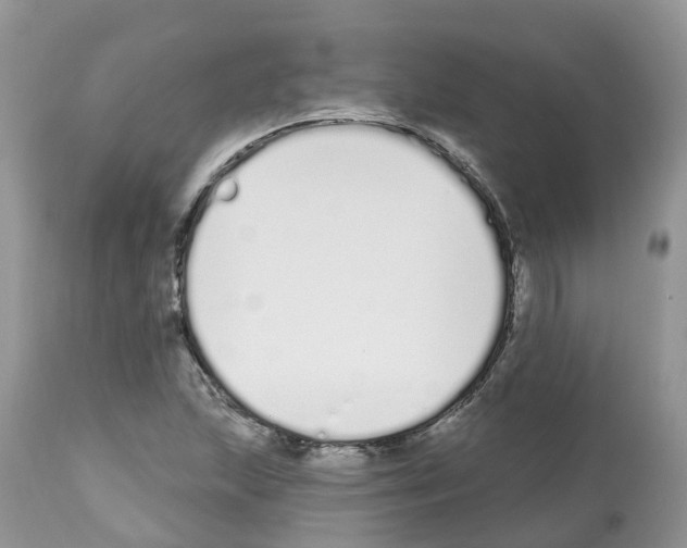 X0000112501215200909281149