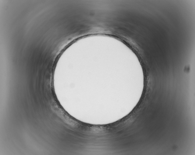 X0000112501220200909281149