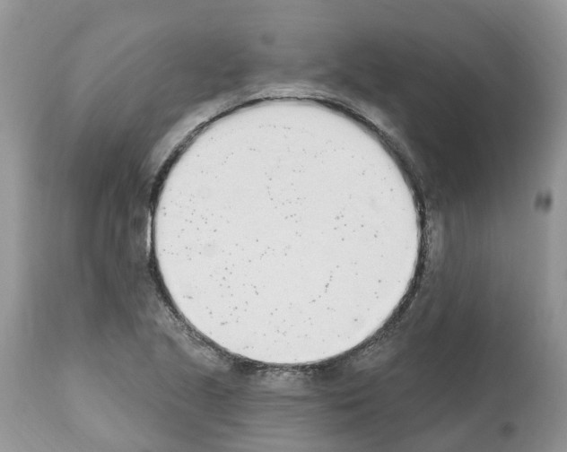 X0000112501221200909281149