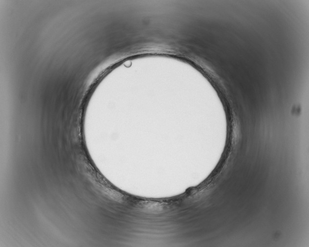 X0000112501222200909281149