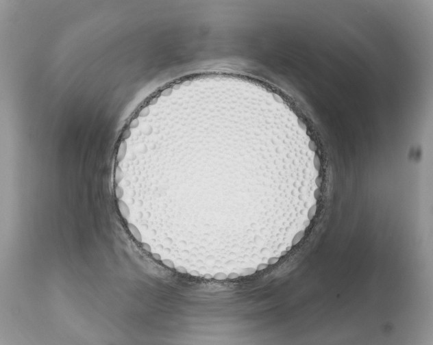 X0000112501224200909281149