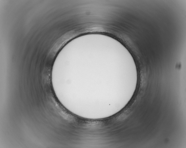 X0000112501225200909281149