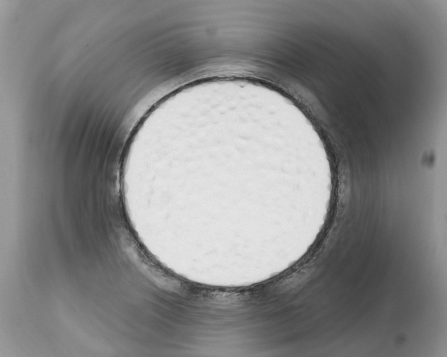 X0000112501226200909281149