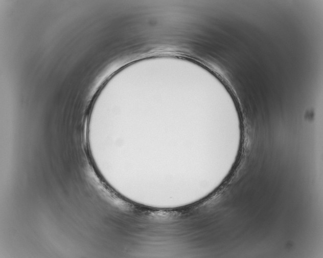 X0000112501227200909281149