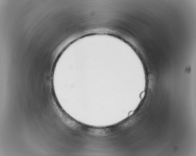 X0000112501229200909281149