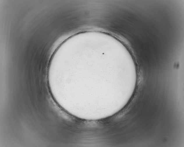 X0000112501231200909281149