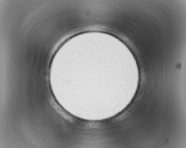 X0000112501232200909281149