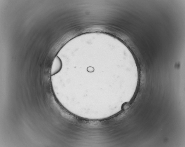 X0000112501233200909281149