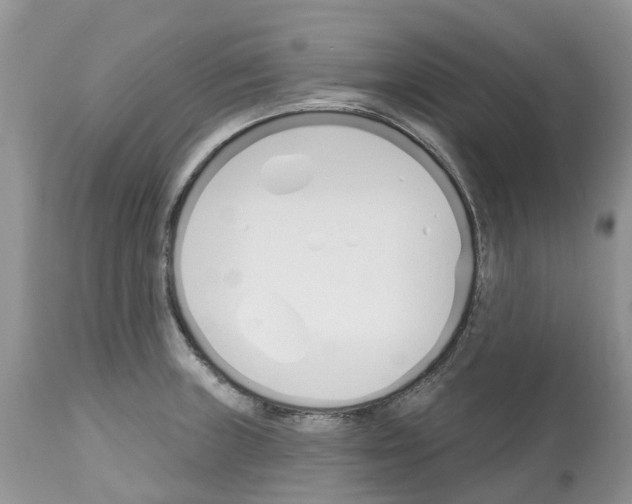 X0000112501235200909281149