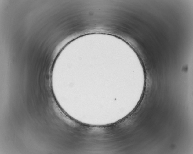 X0000112501238200909281149