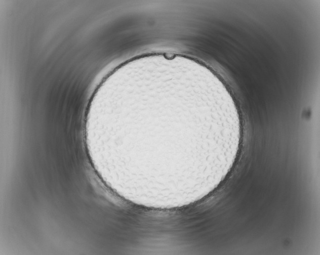 X0000112501240200909281149