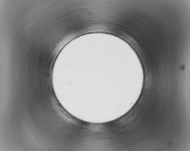 X0000112501242200909281149