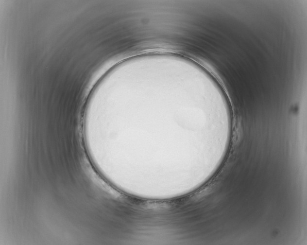 X0000112501243200909281149