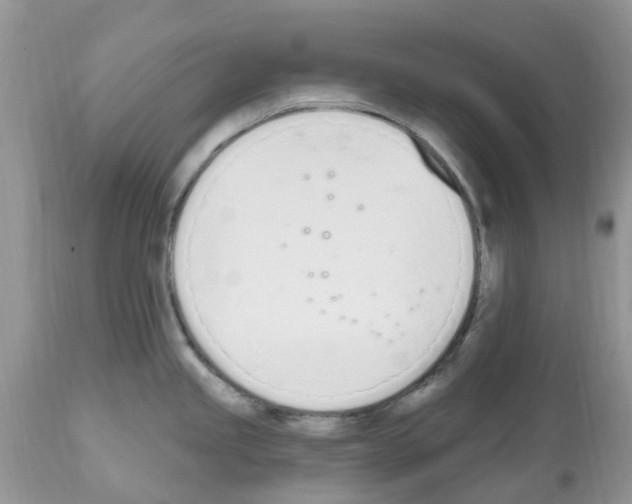 X0000112501245200909281149