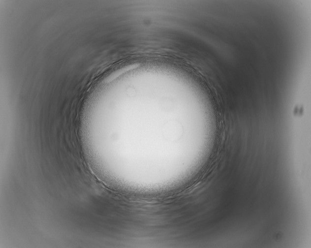 X0000112501249200909281149