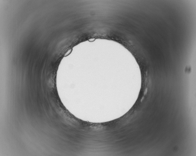 X0000112501250200909281149