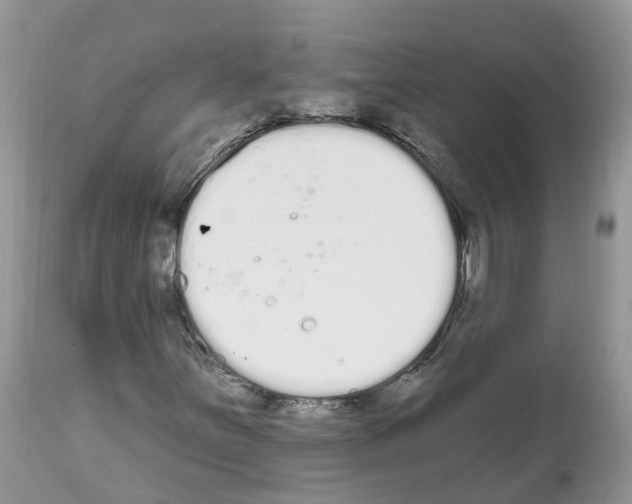 X0000112501251200909281149