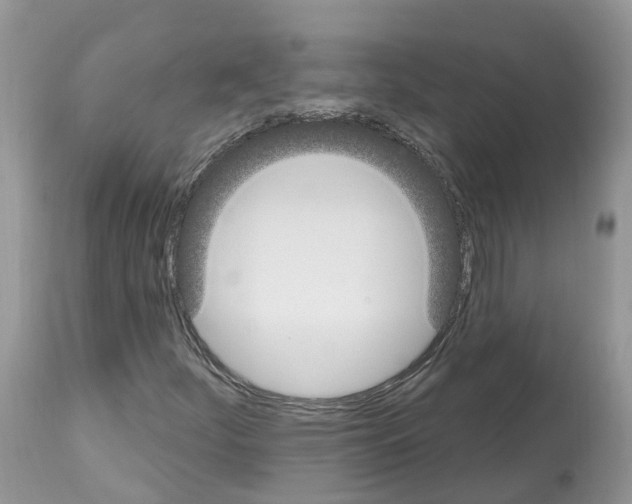 X0000112501252200909281149