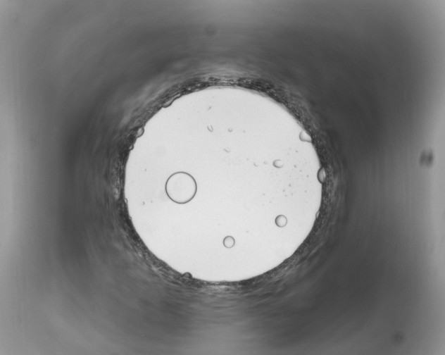 X0000112501253200909281149