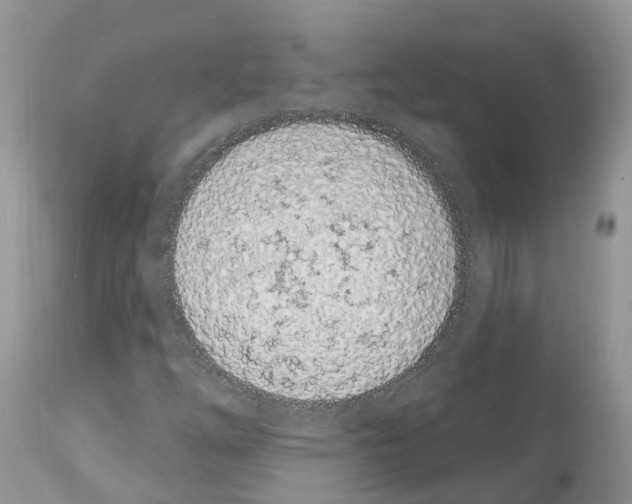 X0000112501254200909281149