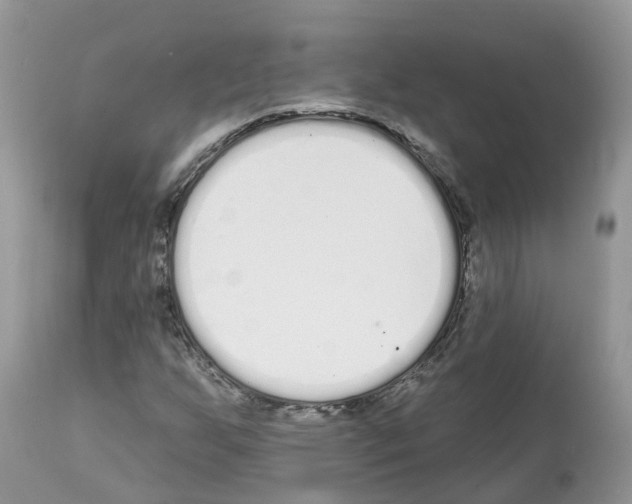 X0000112501255200909281149