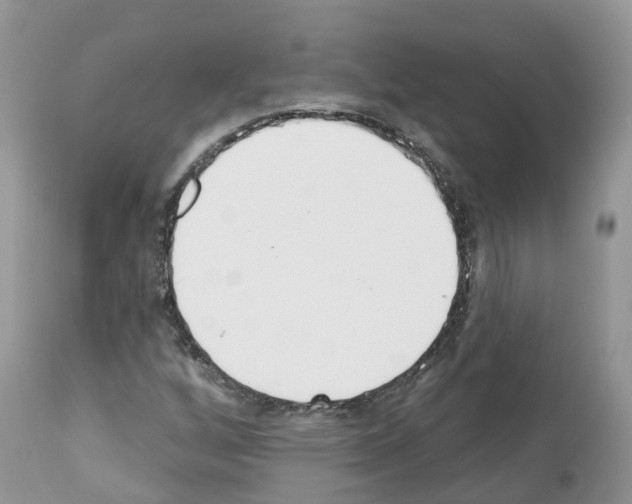 X0000112501256200909281149