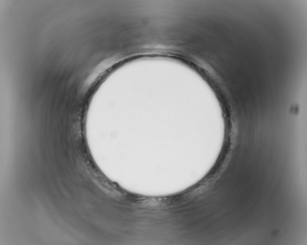 X0000112501259200909281149