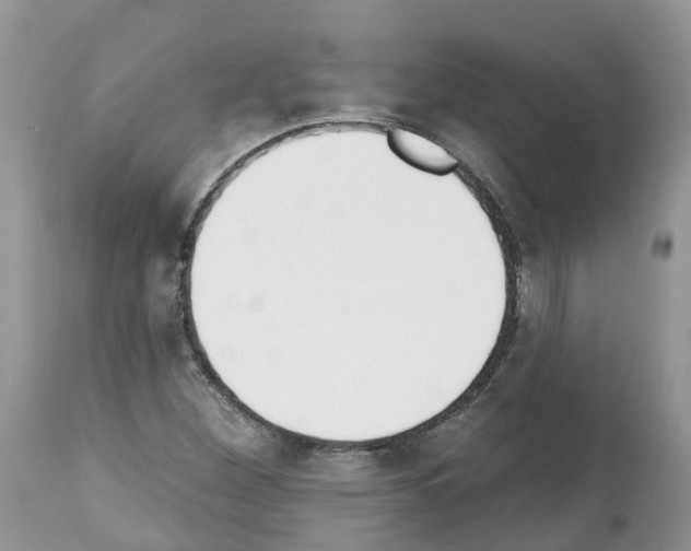 X0000112501260200909281149