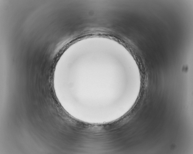 X0000112501261200909281149