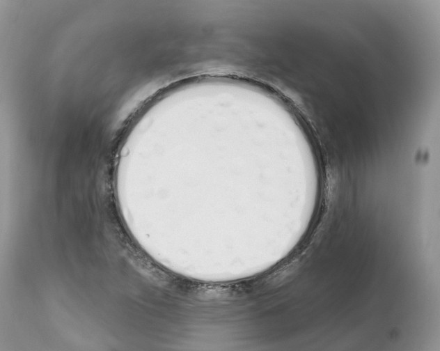 X0000112501263200909281148