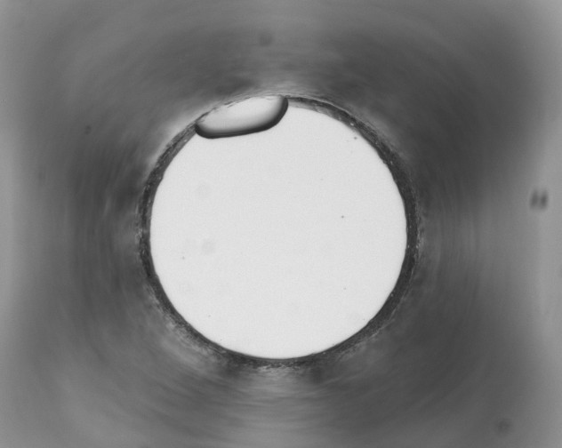 X0000112501264200909281148