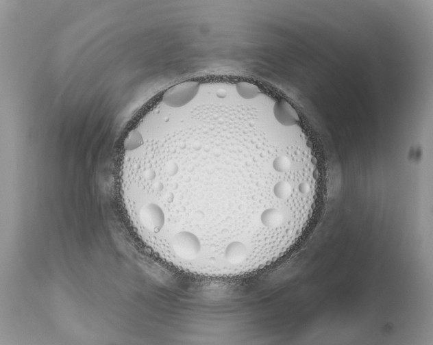 X0000112501266200909281148