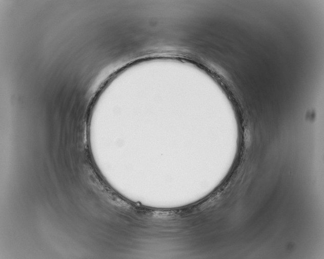 X0000112501267200909281148