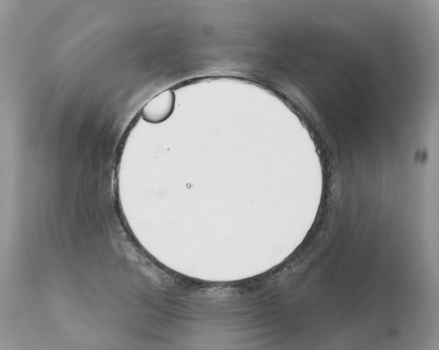 X0000112501268200909281148