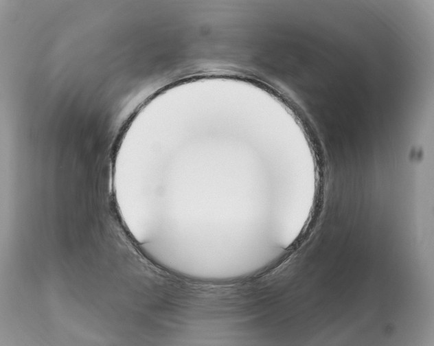 X0000112501269200909281148