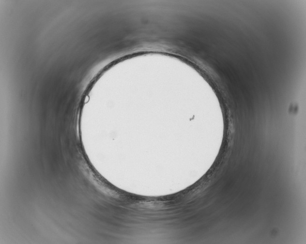 X0000112501272200909281148