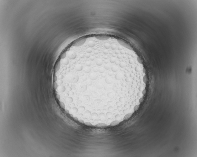 X0000112501275200909281148