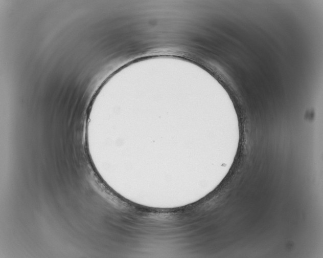 X0000112501276200909281148