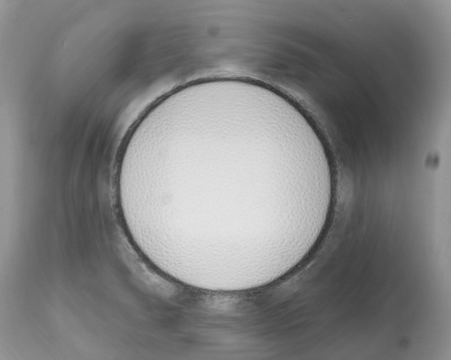 X0000112501278200909281148