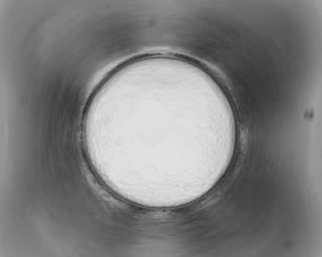 X0000112501279200909281148