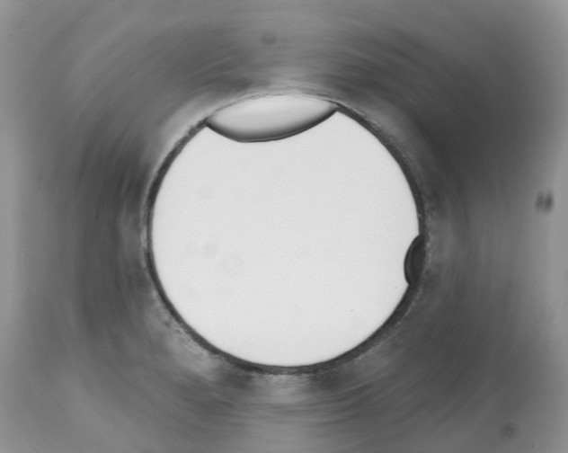 X0000112501280200909281148