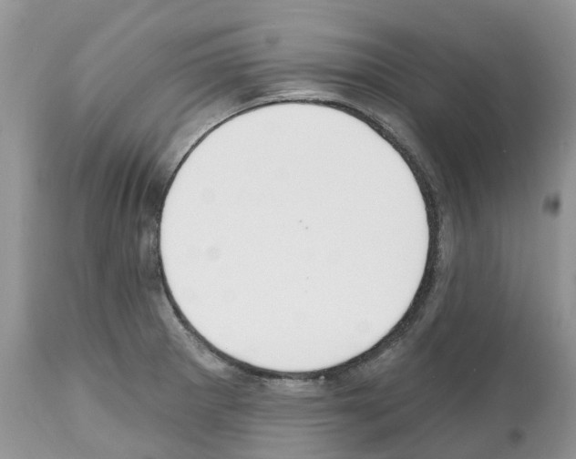 X0000112501281200909281148