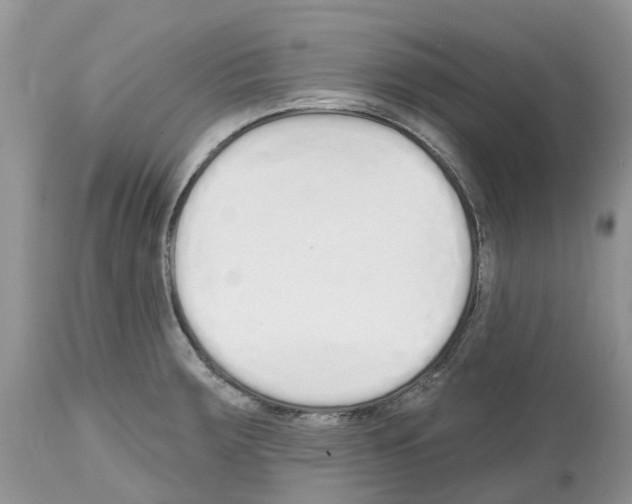 X0000112501283200909281148