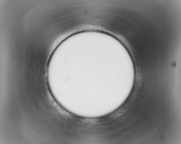 X0000112501287200909281148