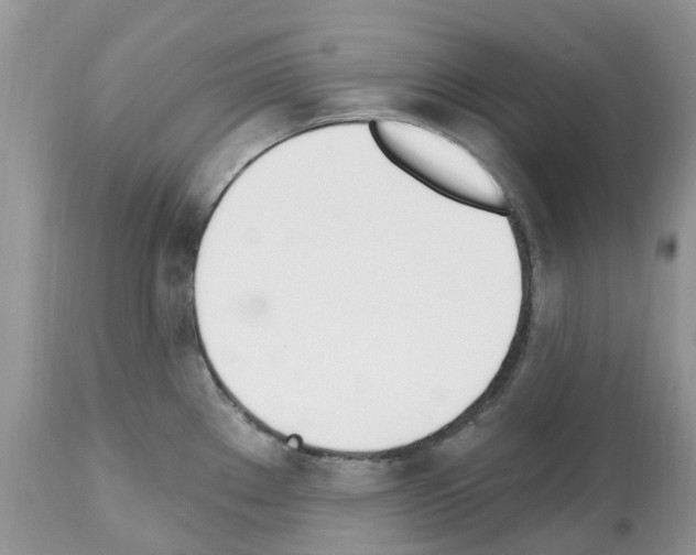 X0000112501289200909281148