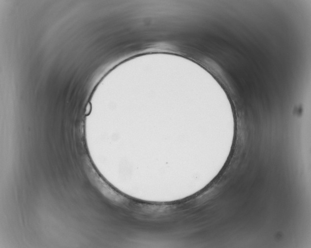 X0000112501292200909281148