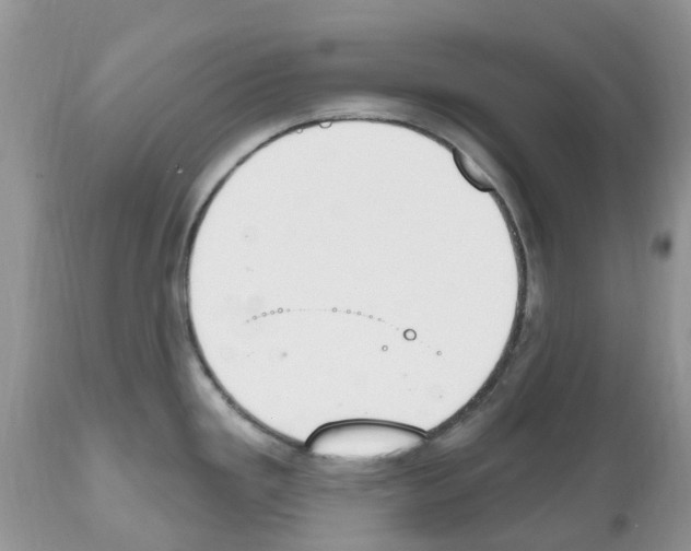 X0000112501293200909281148