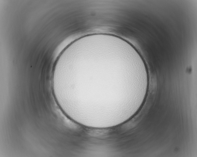 X0000112501294200909281148