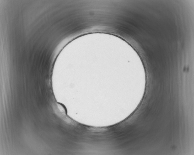 X0000112501296200909281148